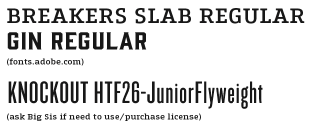 True North typeface display — Breakers Slab Regular, Gin Regular, Knockout HTF26-JuniorFlyweight